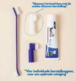 Hond En Kat Tandenborstel Verzorgingsset - Inclusief Tandpasta Met Beefsmaak - Vier Unieke Reinigingsborstels - Fluoride Vrij -RHRQuality winkel 1142x1200 1