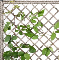 Casaria Polyrattan Bloembak – 3 Bakken Klimophek - Crème -RHRQuality winkel 1163x1200 1