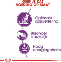 Royal Canin Sensible 33 - Kattenvoer - 10+2 Kg Bonusbag -RHRQuality winkel 1178x1200