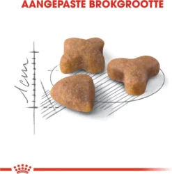 Royal Canin Sensible 33 - Kattenvoer - 10+2 Kg Bonusbag -RHRQuality winkel 1185x1200