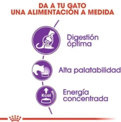 Royal Canin Sensible 33 - Kattenvoer - 10+2 Kg Bonusbag -RHRQuality winkel 1197x1200 1