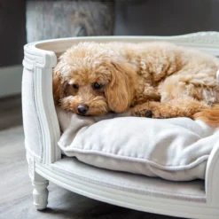 Lord Lou - George Roze Velvet S - Luxe Hondenmand - Luxe Kattenmand - 49x40x31 -RHRQuality winkel 1198x1200 4