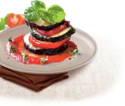 Tefal Success Ovenware Ovenschotel - 20 X 26 Cm -RHRQuality winkel 1200x1014