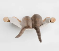 RHRQuality Wandmeubel Wandmontage Klimmuur Kat 53 X 43cm Luxe Hangmat XXL Creme Klim Wand Muur Krabpaal Katten Muurbevestiging -RHRQuality winkel 1200x1041