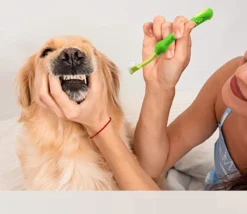 Merkloos Tandenborstel - Voor Huisdieren - Honden - 3 Zijdig - Multi-Hoek - Schoonmaken - Tanden - Slechte Adem - Tandsteen - Tandenborstel - Gezondheid - Blauw -RHRQuality winkel 1200x1042 1