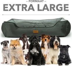 Primeplus Grote Hondenmand XL - Grijs - 100x80x20 CM - Orthopedische Hondenmanden - Hondenkussen 20 Primeplus Grote Hondenmand XL - Grijs - 100x80x20 CM - Orthopedische Hondenmanden - Hondenkussen -RHRQuality winkel 1200x1114 1