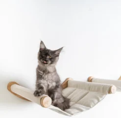 RHRQuality Wandmeubel Wandmontage Klimmuur Kat 53 X 43cm Luxe Hangmat XXL Creme Klim Wand Muur Krabpaal Katten Muurbevestiging