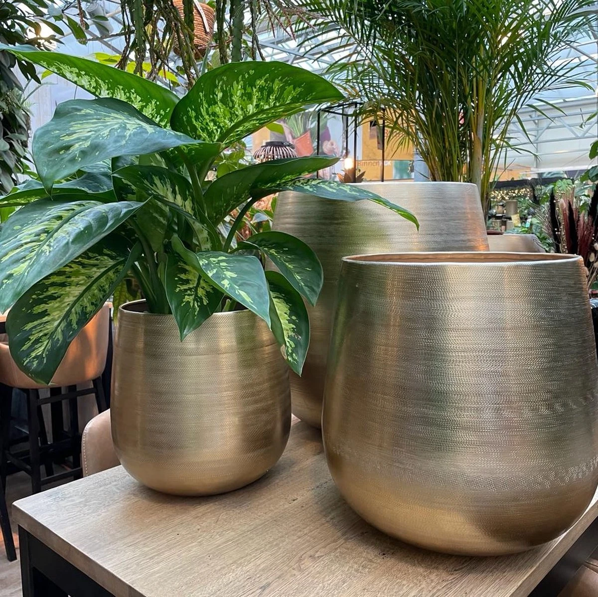 Merkloos Karakter Pot Alu Neo Gold ø40x40cm 2 Merkloos Karakter Pot Alu Neo Gold ø40x40cm - Afbeelding 2