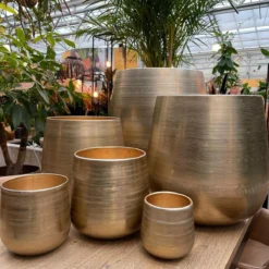 Merkloos Karakter Pot Alu Neo Gold ø40x40cm 7 Merkloos Karakter Pot Alu Neo Gold ø40x40cm -RHRQuality winkel 1200x1198 4