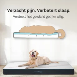 CozySense® - Orthopedisch Hondenkussen - Hondenkussen 60 X 40 Cm - Ook Geschikt Als Benchkussen & Hondenbed - Hondenkussen Bank - Traagschuim - Waterdicht - Wasbare Hoes - Maat S -RHRQuality winkel 1200x1200 128