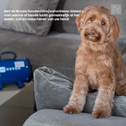 Nuvoo Professionele Hondenföhn / Waterblazer / Hondenborstel Met 3 Opzetstukken - Verstelbare Vermogen Tot 2200W - Warme / Koude Stand - Rood -RHRQuality winkel 1200x1200 156