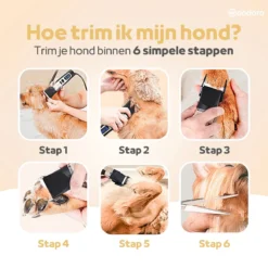 Woodoro Professionele 2-in-1 Hondentondeuse Voor Dikke Vacht – Draadloze Honden Tondeuse & Hondentrimmer – Stille Tondeuse Katten & Honden Trimset -RHRQuality winkel 1200x1200 164