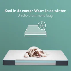 CozySense® - Orthopedisch Hondenkussen - Hondenkussen 75 X 45 Cm - Ook Geschikt Als Benchkussen & Hondenbed - Hondenkussen Bank - Traagschuim - Waterdicht - Wasbare Hoes - Maat M -RHRQuality winkel 1200x1200 173