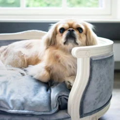 Lord Lou - George Roze Velvet S - Luxe Hondenmand - Luxe Kattenmand - 49x40x31 -RHRQuality winkel 1200x1200 203