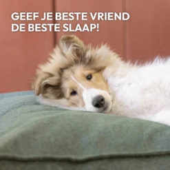 Snoozle Orthopedische Hondenmand - Zacht En Luxe Hondenkussen - Hondenbed - Wasbaar - Hondenmanden - 100 X 70 Cm - Groen -RHRQuality winkel 1200x1200 215