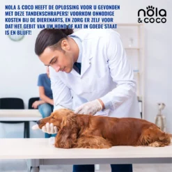 Nola & Coco® Tandsteen Verwijderaar Set Inclusief Bewaardoosje - Tandenkrabber - Set Van Twee - Hond - Kat - Tandenborstel - Tandplak Verwijderen - Tandenstoker - Honden Tanden Schoonmaken - Tandenhaakje - Gebitsreiniging -RHRQuality winkel 1200x1200 223
