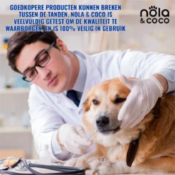 Nola & Coco® Tandsteen Verwijderaar Set Inclusief Bewaardoosje - Tandenkrabber - Set Van Twee - Hond - Kat - Tandenborstel - Tandplak Verwijderen - Tandenstoker - Honden Tanden Schoonmaken - Tandenhaakje - Gebitsreiniging -RHRQuality winkel 1200x1200 224
