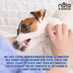 Nola & Coco® Tandsteen Verwijderaar Set Inclusief Bewaardoosje - Tandenkrabber - Set Van Twee - Hond - Kat - Tandenborstel - Tandplak Verwijderen - Tandenstoker - Honden Tanden Schoonmaken - Tandenhaakje - Gebitsreiniging -RHRQuality winkel 1200x1200 226