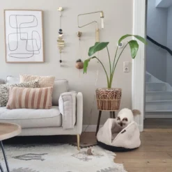 District 70 TUCK - Luxe & Comfortabele Mand Kleine Honden - Terra, Donkergrijs & Zand - 50x50x30 Cm - Zand -RHRQuality winkel 1200x1200 236