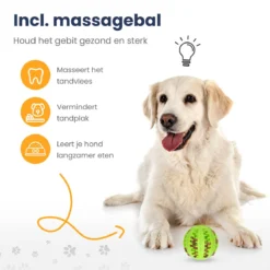 Snuffelmat 70x70cm Inclusief Rubberen Massage Bal & E-book - Speelmat Hond - Denkspel Hond - Puppy Speelgoed - Anti Schrok Mat - Honden Snoepjes - Cadeau Tip -RHRQuality winkel 1200x1200 242