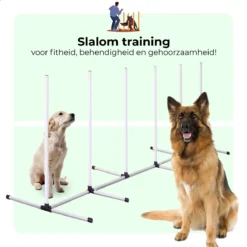 AYOO Agility Voor De Hond - Honden Training - Honden Behendigheid Set - Hondenparcours - Training Huisdieren - Honden Agility Set - Slalom - Horde - Draagzak - Agility Set - Oranje - Wit - GRATIS Speeltouw 13 AYOO Agility Voor De Hond - Honden Training - Honden Behendigheid Set - Hondenparcours - Training Huisdieren - Honden Agility Set - Slalom - Horde - Draagzak - Agility Set - Oranje - Wit - GRATIS Speeltouw -RHRQuality winkel 1200x1200 248