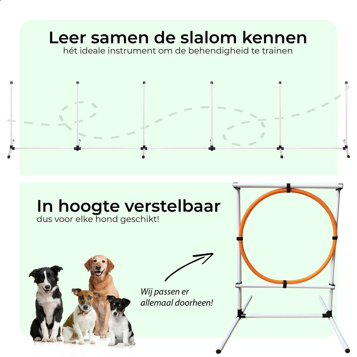 AYOO Agility Voor De Hond - Honden Training - Honden Behendigheid Set - Hondenparcours - Training Huisdieren - Honden Agility Set - Slalom - Horde - Draagzak - Agility Set - Oranje - Wit - GRATIS Speeltouw 7 AYOO Agility Voor De Hond - Honden Training - Honden Behendigheid Set - Hondenparcours - Training Huisdieren - Honden Agility Set - Slalom - Horde - Draagzak - Agility Set - Oranje - Wit - GRATIS Speeltouw - Afbeelding 7