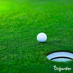 Gazonmest All-In-One (20Kg - Voor 400m2) Voor Een Diepgroen Sterk Gazon Zonder Mos En Onkruid - Complete Meststof Met Kalk En Grasversterker - Organifer -RHRQuality winkel 1200x1200 382