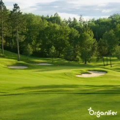 Gazonmest All-In-One (20Kg - Voor 400m2) Voor Een Diepgroen Sterk Gazon Zonder Mos En Onkruid - Complete Meststof Met Kalk En Grasversterker - Organifer -RHRQuality winkel 1200x1200 383