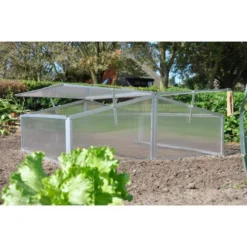 Royal Well Broeikas Silver Thyme 11 Royal Well Broeikas Silver Thyme -RHRQuality winkel 1200x1200 393