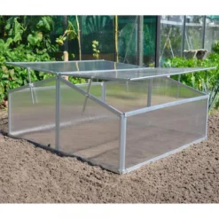 Royal Well Broeikas Silver Thyme 12 Royal Well Broeikas Silver Thyme -RHRQuality winkel 1200x1200 394
