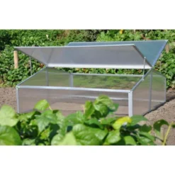 Royal Well Broeikas Silver Thyme 13 Royal Well Broeikas Silver Thyme -RHRQuality winkel 1200x1200 395