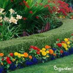 Lavagruis Uit Eifel Oergesteente (20Kg Voor 200m2) Grof Lavameel 0-2mm - Organifer -RHRQuality winkel 1200x1200 400