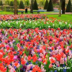 Lavagruis Uit Eifel Oergesteente (20Kg Voor 200m2) Grof Lavameel 0-2mm - Organifer -RHRQuality winkel 1200x1200 401