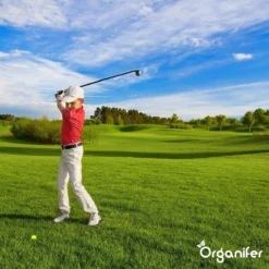 Lavagruis Uit Eifel Oergesteente (20Kg Voor 200m2) Grof Lavameel 0-2mm - Organifer -RHRQuality winkel 1200x1200 402