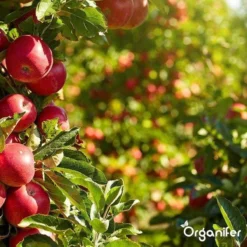 Lavagruis Uit Eifel Oergesteente (20Kg Voor 200m2) Grof Lavameel 0-2mm - Organifer -RHRQuality winkel 1200x1200 404