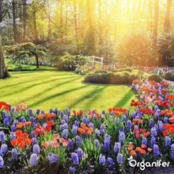 Lavagruis Uit Eifel Oergesteente (20Kg Voor 200m2) Grof Lavameel 0-2mm - Organifer -RHRQuality winkel 1200x1200 409