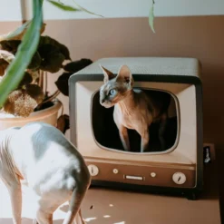 District 70 TELLY - Retro TV Krabmeubel - Instagrammable Kartonnen TV Voor Katten - 39 X 27 X 37 Cm -RHRQuality winkel 1200x1200 63