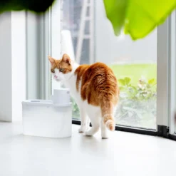 Hoopo® Agua - DRAADLOZE Waterfontein Katten - SMART Waterfontein Katten - UVC Disinfectie - 2 Liter - Automatische Katten Fontein -RHRQuality winkel 1200x1200 73