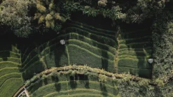 Sola Bestekset Bali - Modern - 9 Persoons - 90 Delig - Zilverwit Edelstaal 18/10 - RVS - Zilver -RHRQuality winkel 1200x675 7