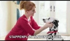 Beaphar Tandenborstel -RHRQuality winkel 1200x697