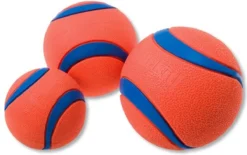 Chuckit! 10 Chuckit Ballen In Emmer - Chuckit - Veilig Voor Gebit - Hondenbal - Past In Werpstok -RHRQuality winkel 1200x751 1