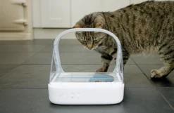 Surefeed Microchip Pet Feeder - Voerbak - 30 X 23 X 22 Cm 25 Surefeed Microchip Pet Feeder - Voerbak - 30 X 23 X 22 Cm -RHRQuality winkel 1200x780 2