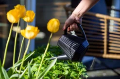 Xala - Gieter Doppio Groove 2L Olijfgrijs 5 Xala - Gieter Doppio Groove 2L Olijfgrijs -RHRQuality winkel 1200x799