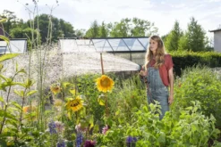 GARDENA - Comfort Broeskop - 5 Straalsoorten - Grijs -RHRQuality winkel 1200x800 38