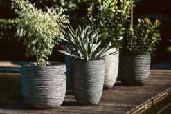 Capi Europe - Bloempot Bol Rib NL - 35x34 - Antraciet - Voor Binnen En Buiten - KOFZ932 -RHRQuality winkel 1200x800 40
