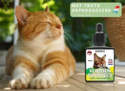 Natuurlijke Vlooiendruppels Voor Katten - Vanaf 4 Kg - 100% Natuurlijk - Vlooien - Zonder Giftige Pesticiden - 30 Ml - Speciale Formule Voor Katten - Vachtdruppels - Made In Holland -RHRQuality winkel 1200x872 2