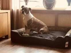 Hondenmand Cordura XXXL – Donkergrijs - 125 X 90 X 24 Cm -RHRQuality winkel 1200x900 10