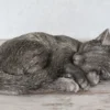 Kattenurn Asbeeld Kat Slapend Antiek Brons 26 Cm Urn Kat