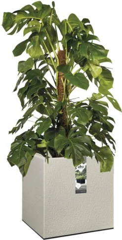 Elho Vivo Structure Finish Vierkant 40 - Plantenbak Voor Binnen & Buiten - Ø 39 X H 41 - Grijs/Warm Grijs -RHRQuality winkel 613x1200