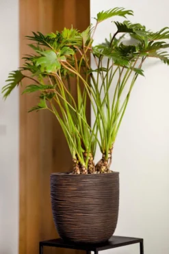 Capi Europe - Bloempot Bol Rib NL - 43x41 - Antraciet - Voor Binnen En Buiten - KOFZ933 -RHRQuality winkel 800x1200 17